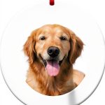 WaaHome Dog Memorial Ornament Acrylic Photo Frame Pet Loss-0