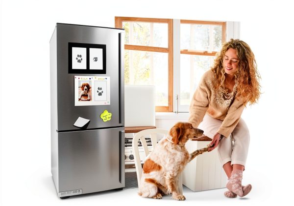 MYPAWLETS Pet Paw Print Kit Inkless Safe Keepsake-5