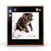 MYPAWLETS Inkless Pet Paw Print Kit Safe Keepsake-3