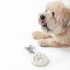 Pearhead Pet Paw Print Keepsake Ornament Kit Dog Cat-6