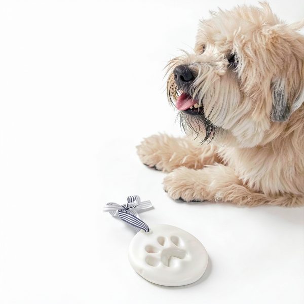 Pearhead Pet Paw Print Keepsake Ornament Kit Dog Cat-6