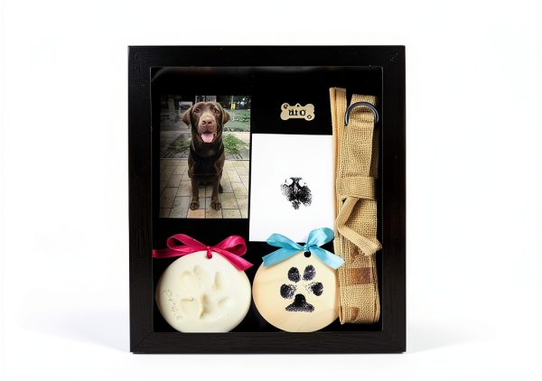 Skittypurr Pet Paw Print Kit Clay Ink Keepsake Dog Cat-4