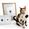 MYPAWLETS Pet Paw Print Kit Inkless Safe Keepsake-6
