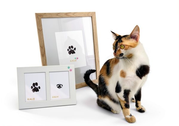 MYPAWLETS Pet Paw Print Kit Inkless Safe Keepsake-6
