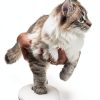 Pearhead Pet Paw Print Keepsake Ornament Kit Dog Cat-7