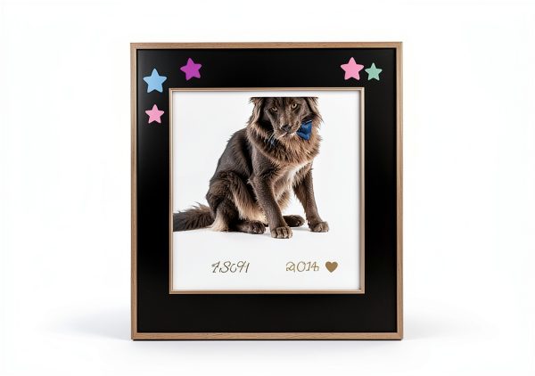 MYPAWLETS Inkless Paw Print Kit Pet Memorial Keepsake-3